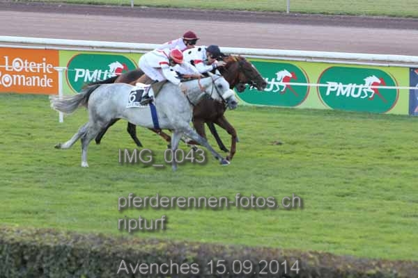 IMG 0043 prot